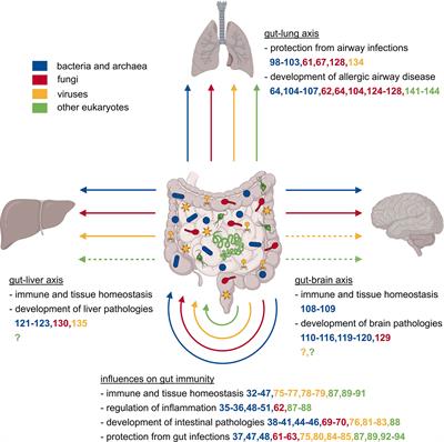 The Mammalian Metaorganism: A Holistic View on How Microbes of All Kingdoms and Niches Shape Local and Systemic Immunity